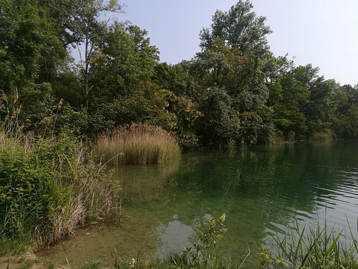 Ferienhaus Nostalgie Vogtsburg Dış mekan fotoğraf
